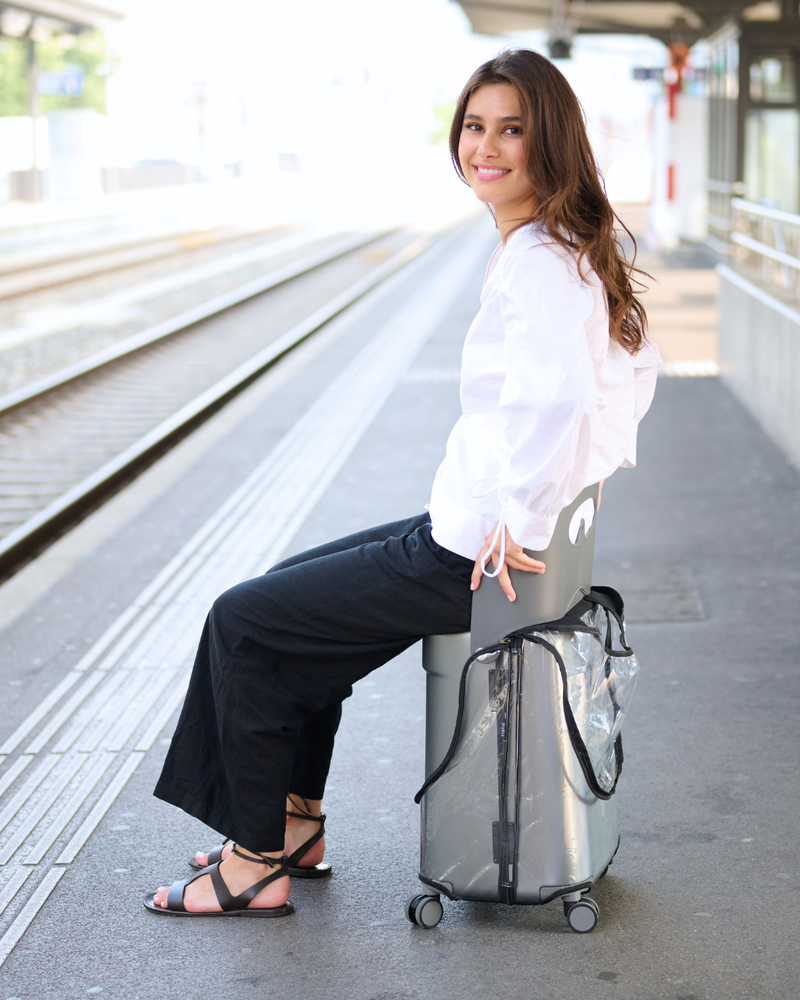 Luggage Cover